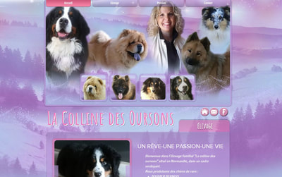 conception design pour wix, élevage canin